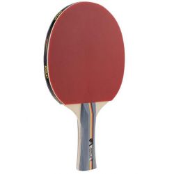 Paleta tenis de masa Joola Team School