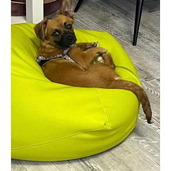 Fotoliu puf, tip para Bean Bag, cu maner