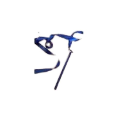 Set de 6 panglici pentru gimnastica ritmica 1.6 m