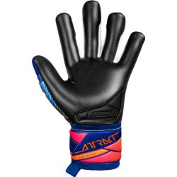 Manusi portari Attrakt Infinity Evolution NC