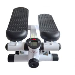Mini stepper digital